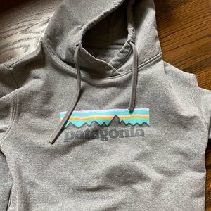 Patagonia cropped sweatshirt